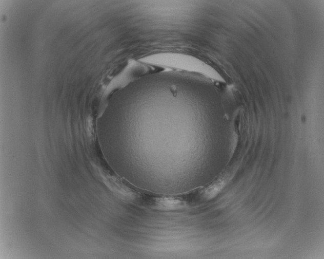 X0000076270380200610191746