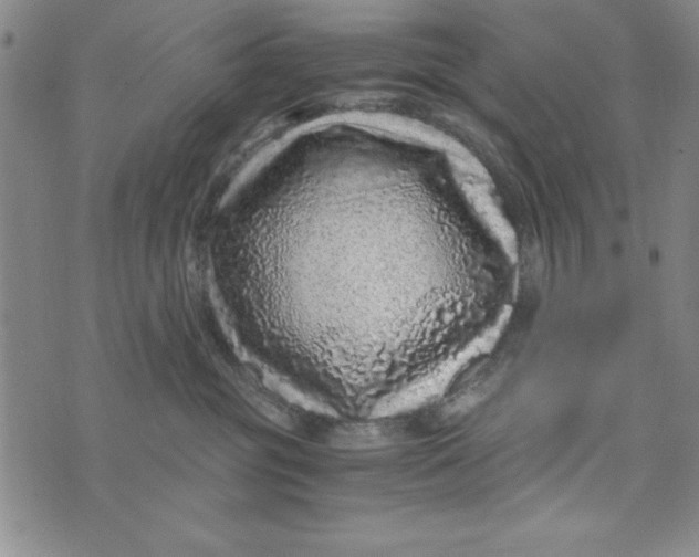 X0000076270381200610191746