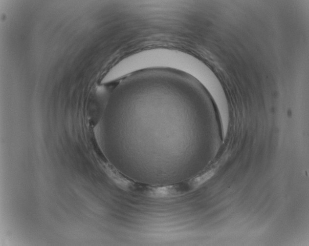 X0000076270382200610191746