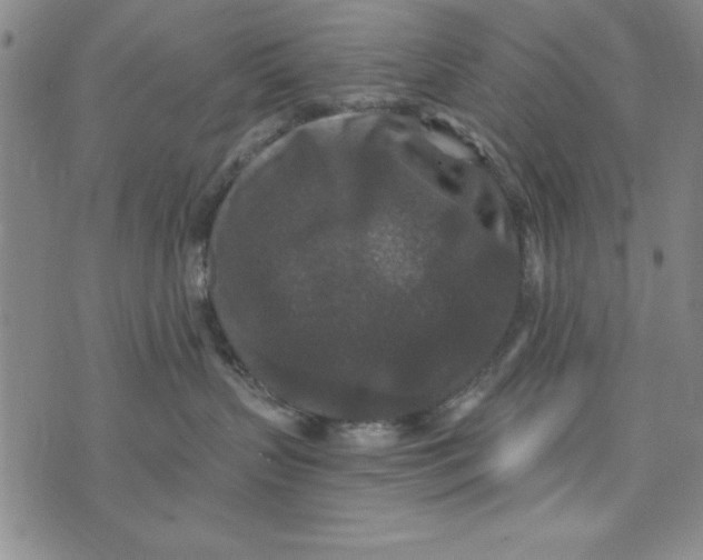 X0000076270383200610191746