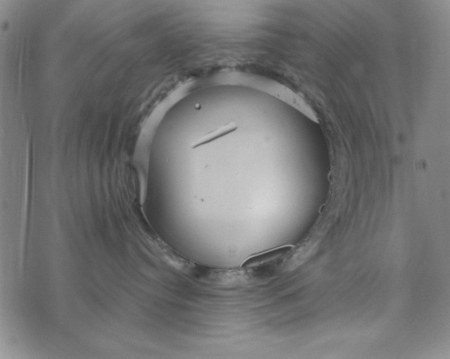 X0000076270384200610191746