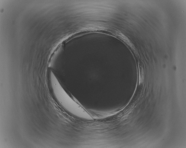 X0000076270387200610191745