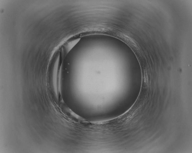 X0000076270388200610191745