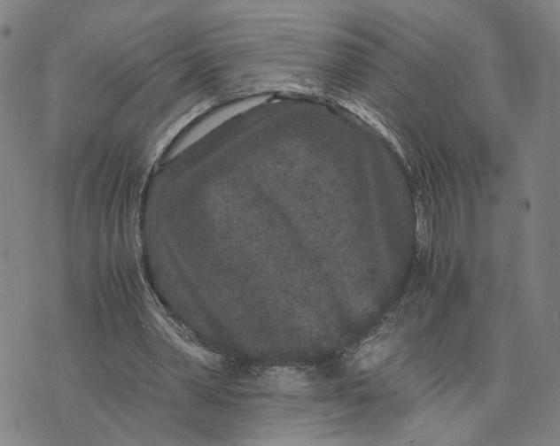 X0000076270390200610191745