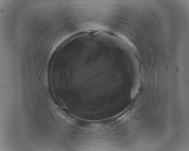 X0000076270391200610191745