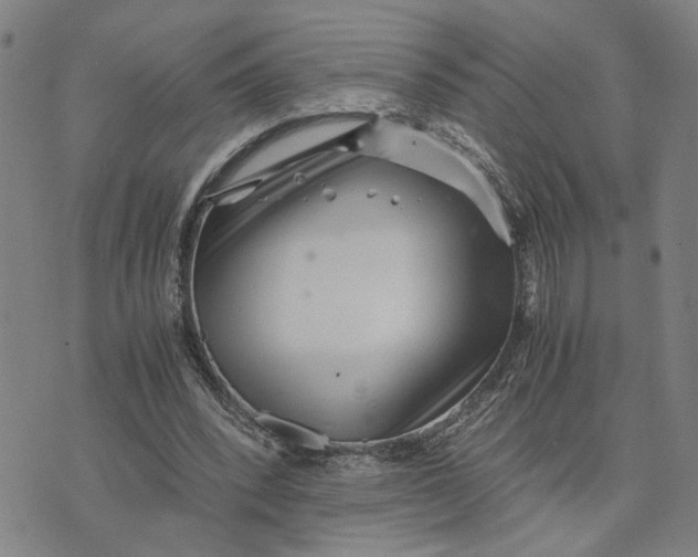 X0000076270392200610191745