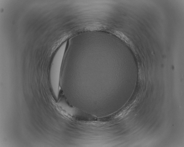 X0000076270393200610191745