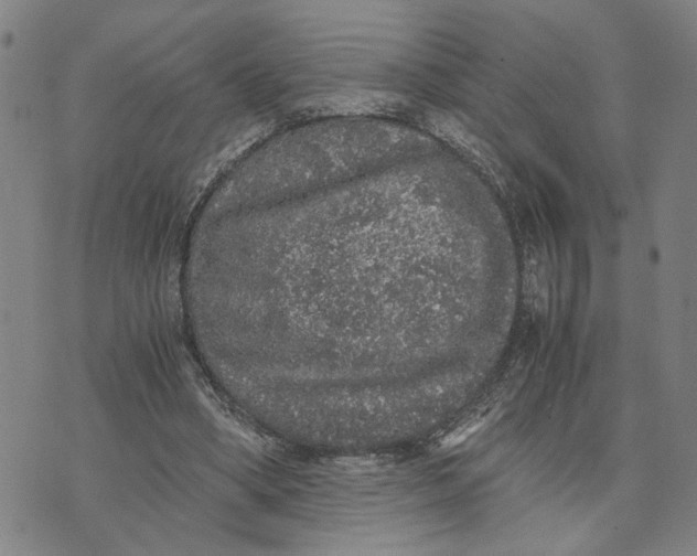 X0000076270394200610191745