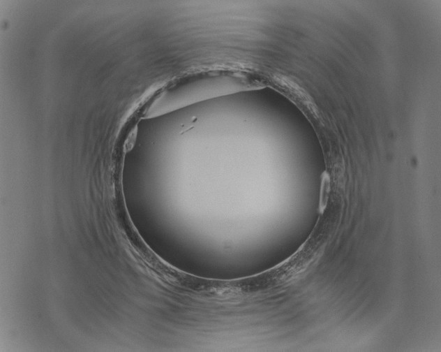 X0000076270395200610191745