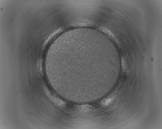 X0000076270396200610191745