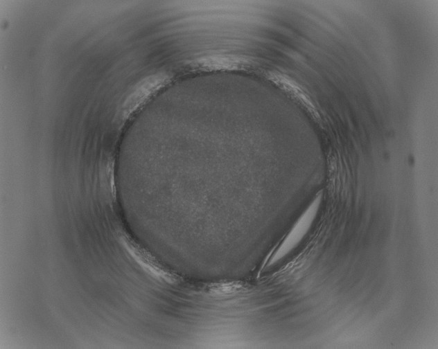 X0000076270398200610191745