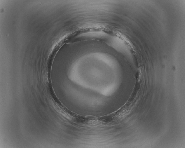 X0000076270399200610191745