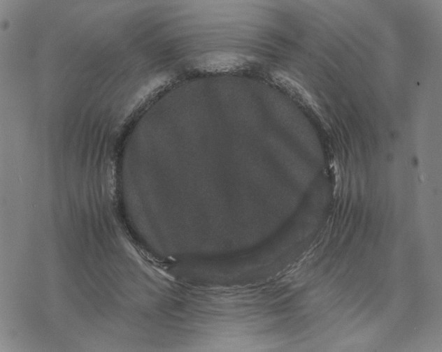 X0000076270400200610191745