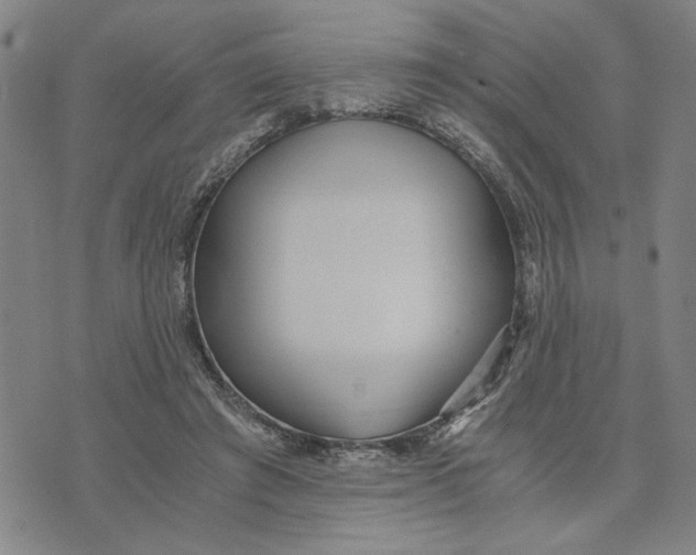 X0000076270401200610191745