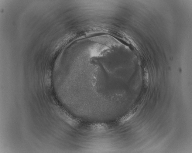 X0000076270402200610191745