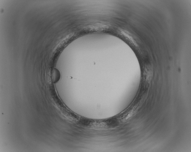 X0000076270403200610191745