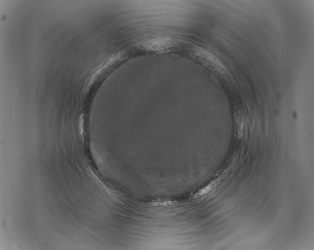 X0000076270404200610191745