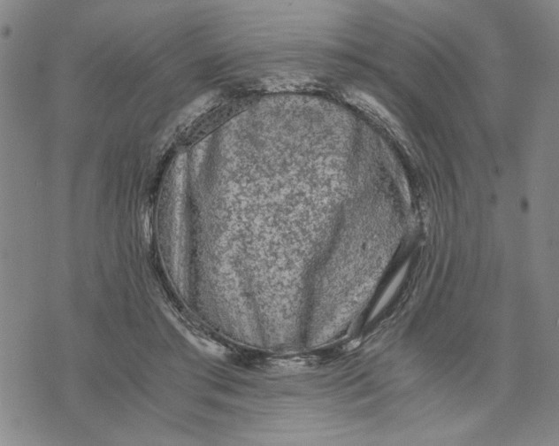 X0000076270405200610191744