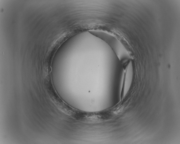 X0000076270407200610191744