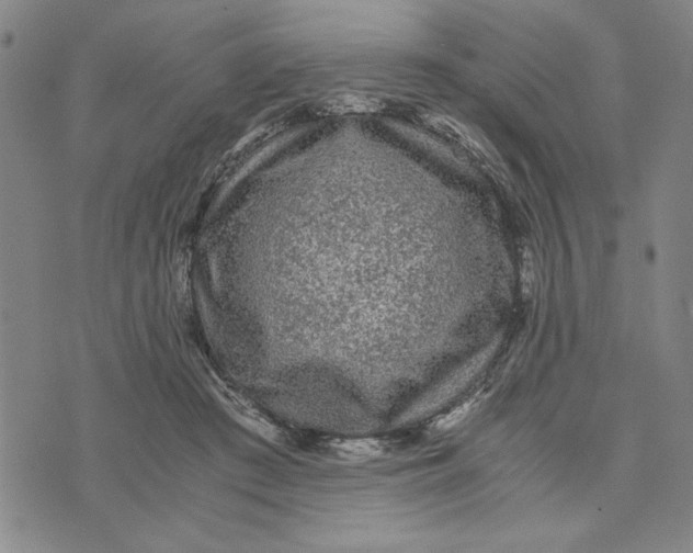 X0000076270409200610191744