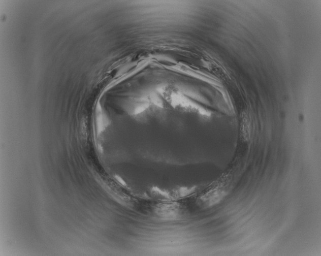 X0000076270410200610191744