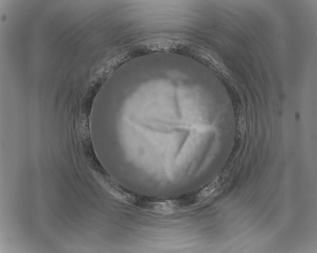 X0000076270411200610191744