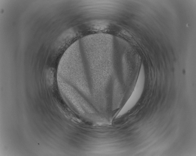 X0000076270412200610191744