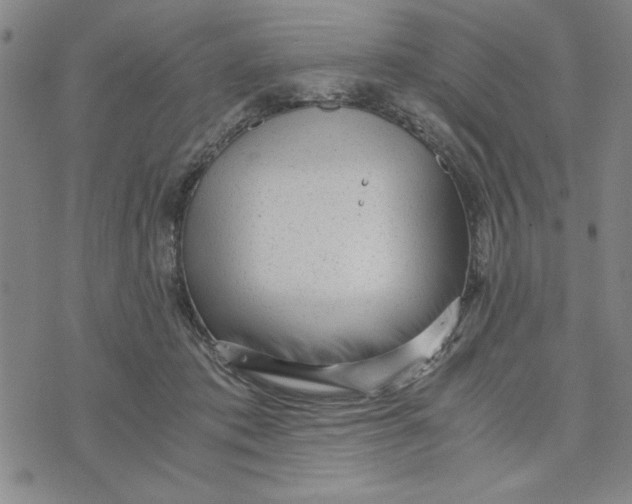 X0000076270413200610191744