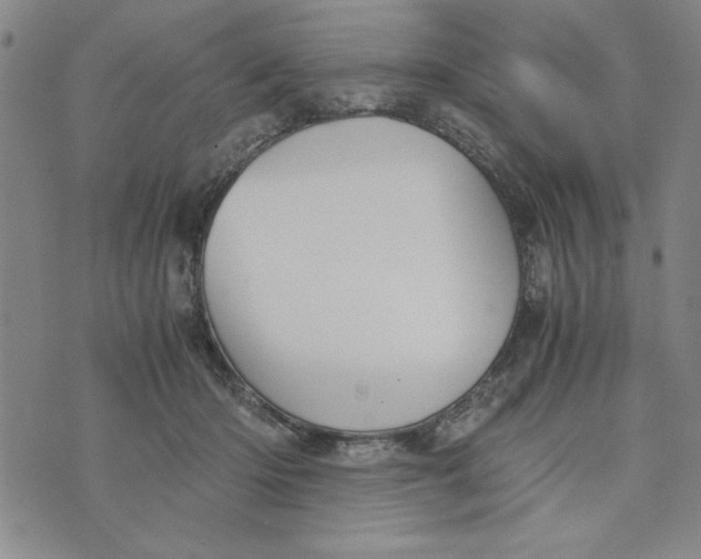 X0000076270414200610191744