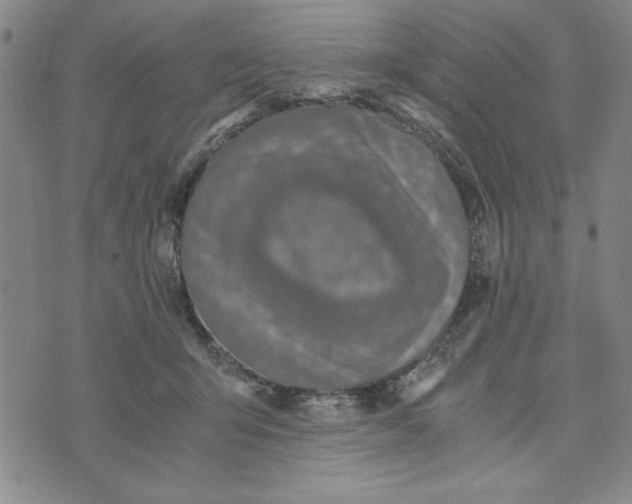 X0000076270415200610191744