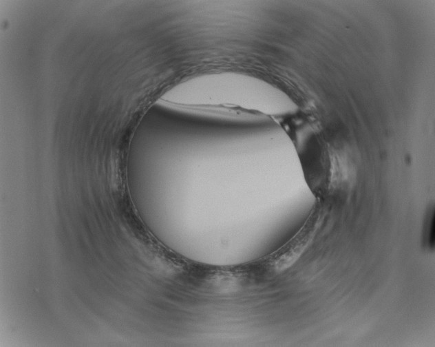 X0000076270416200610191744