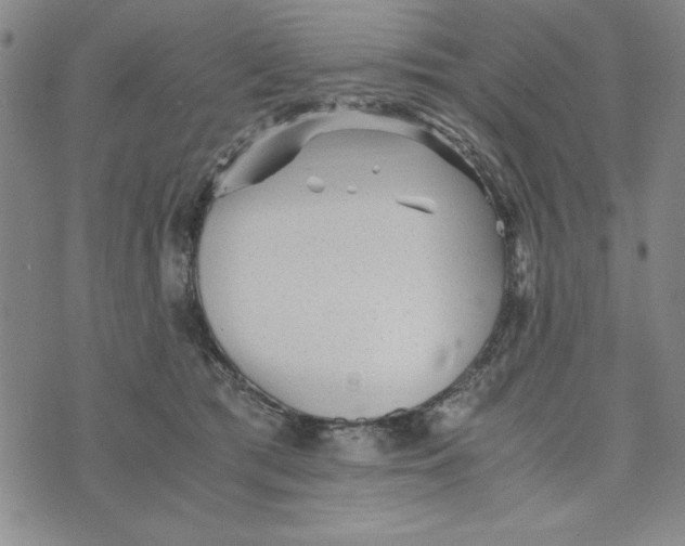 X0000076270417200610191744