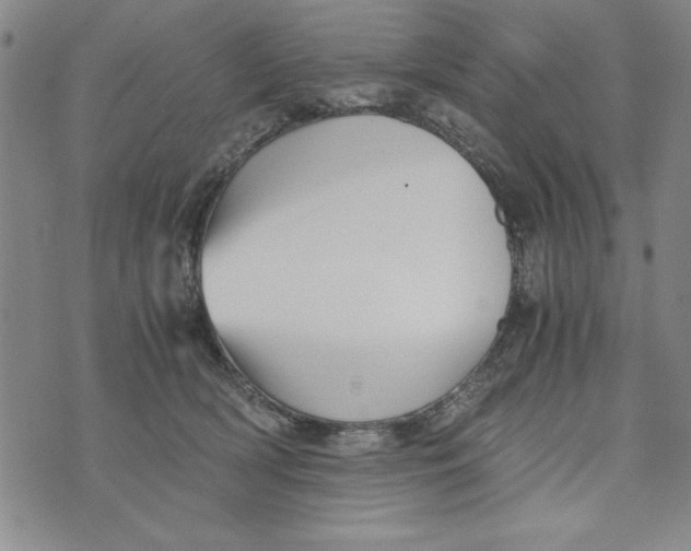 X0000076270418200610191744