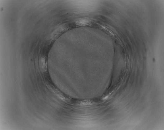 X0000076270420200610191744