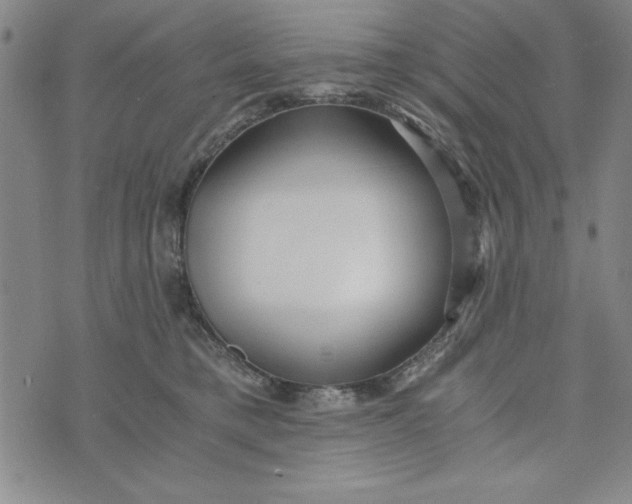 X0000076270421200610191744