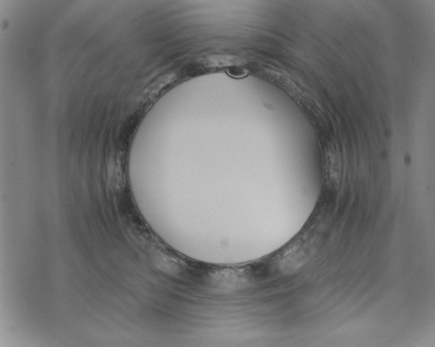 X0000076270422200610191744