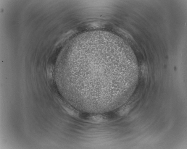 X0000076270423200610191744