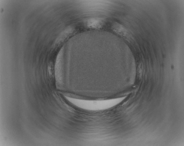 X0000076270424200610191744