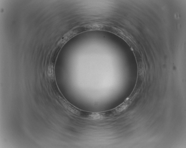 X0000076270425200610191744