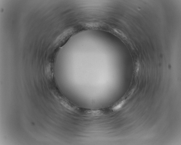 X0000076270428200610191744