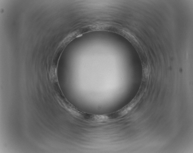 X0000076270429200610191744