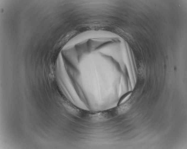 X0000076270430200610191744