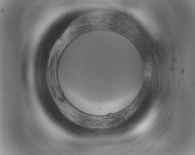 X0000076270431200610191744