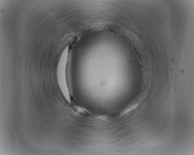 X0000076270432200610191744