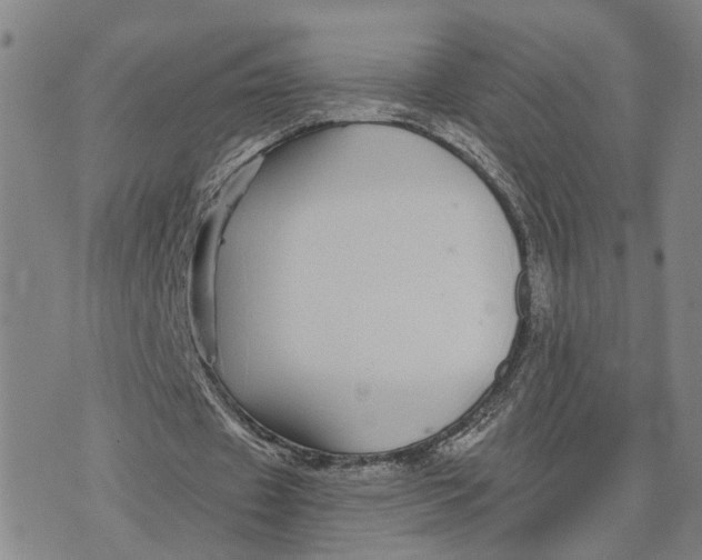 X0000076270433200610191743