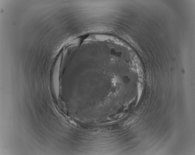 X0000076270434200610191743