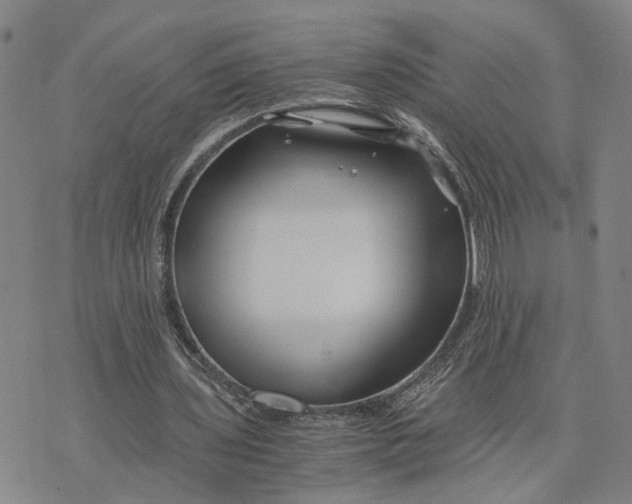 X0000076270435200610191743