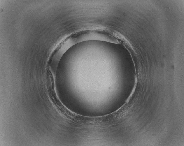 X0000076270436200610191743