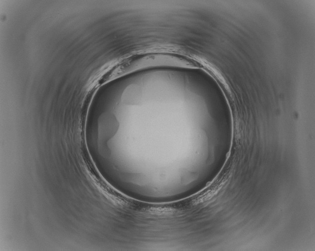 X0000076270437200610191743