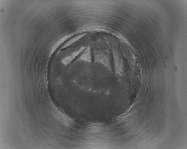 X0000076270438200610191743